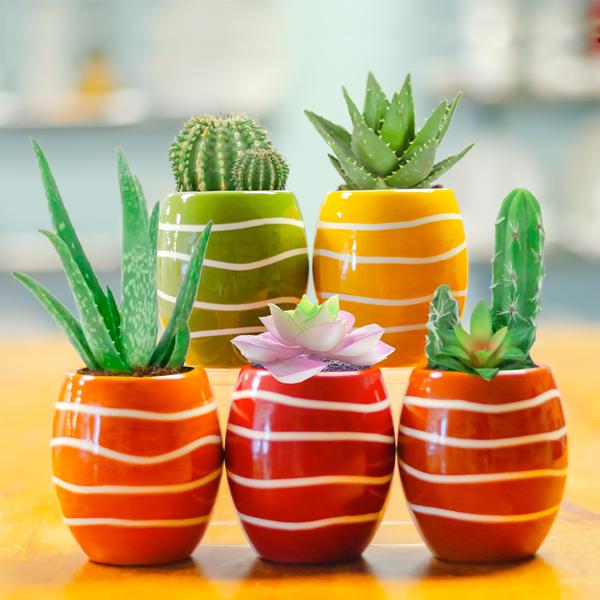 CERAMIC PAINTING